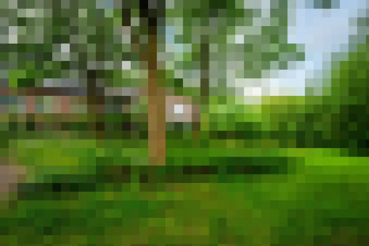 De Brink 117 Zeist thumbnail 35