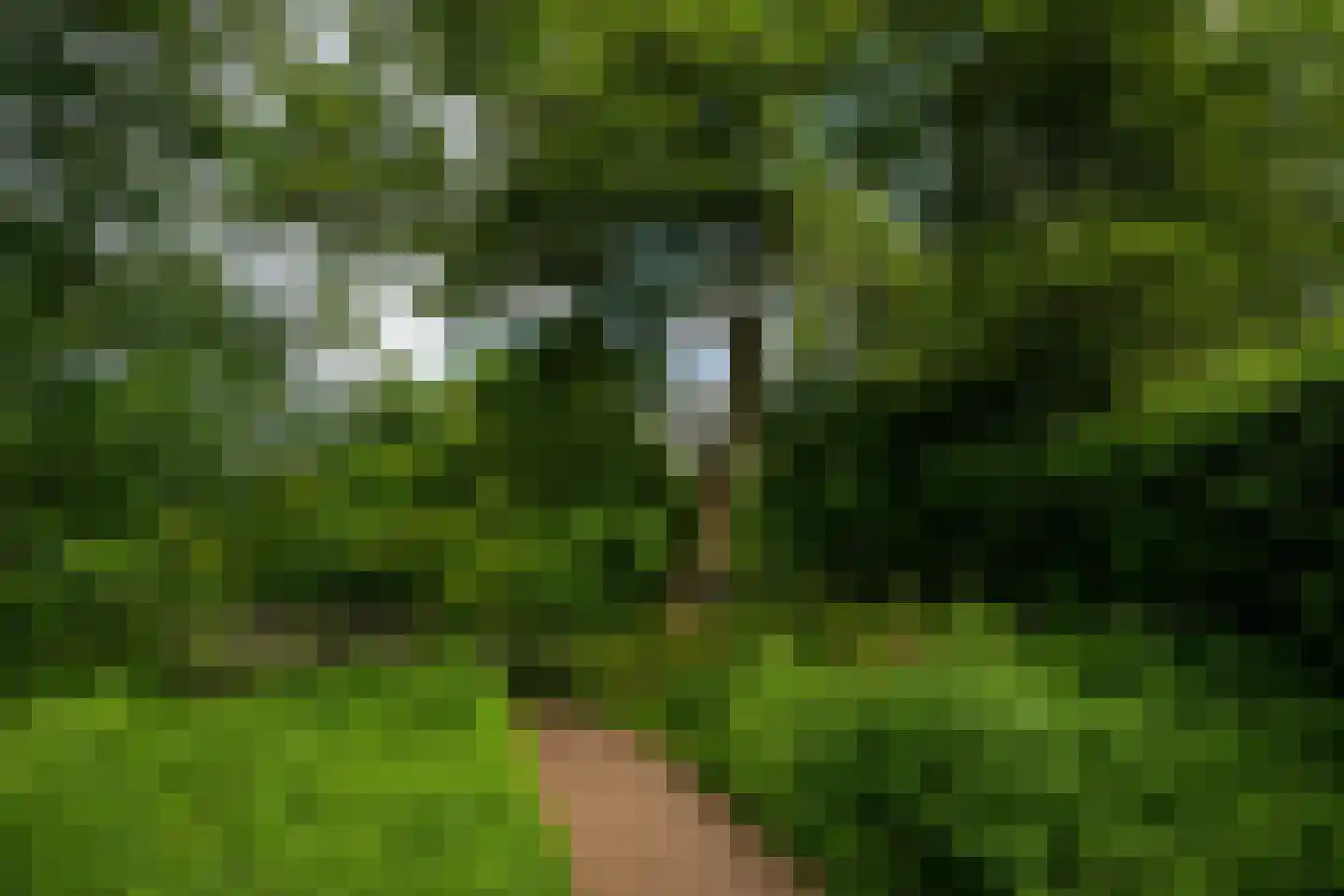 De Brink 117 Zeist thumbnail 38