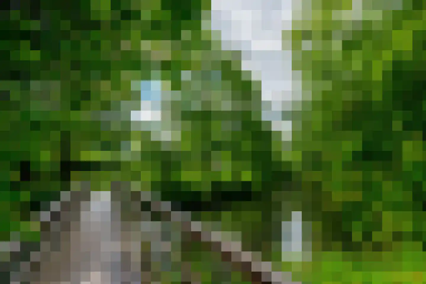 De Brink 117 Zeist thumbnail 39