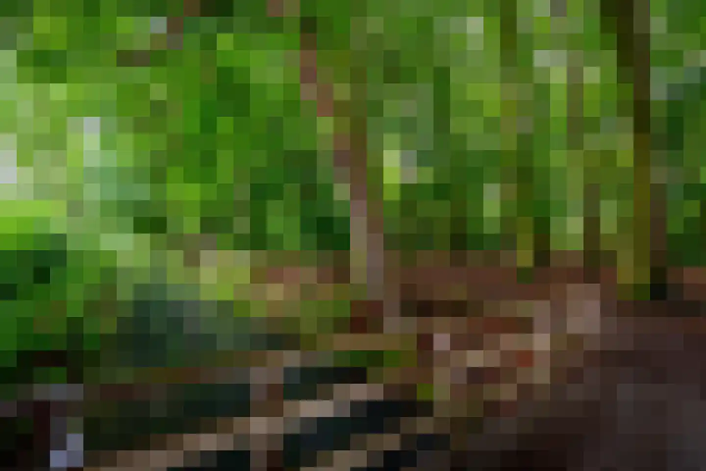 De Brink 117 Zeist thumbnail 40