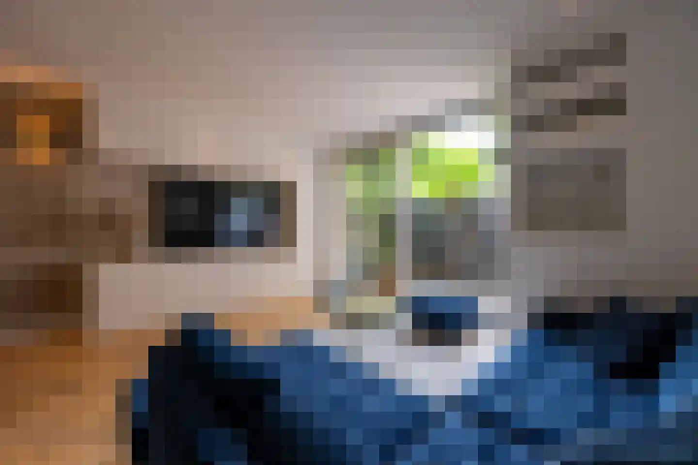 De Brink 117 Zeist thumbnail 6