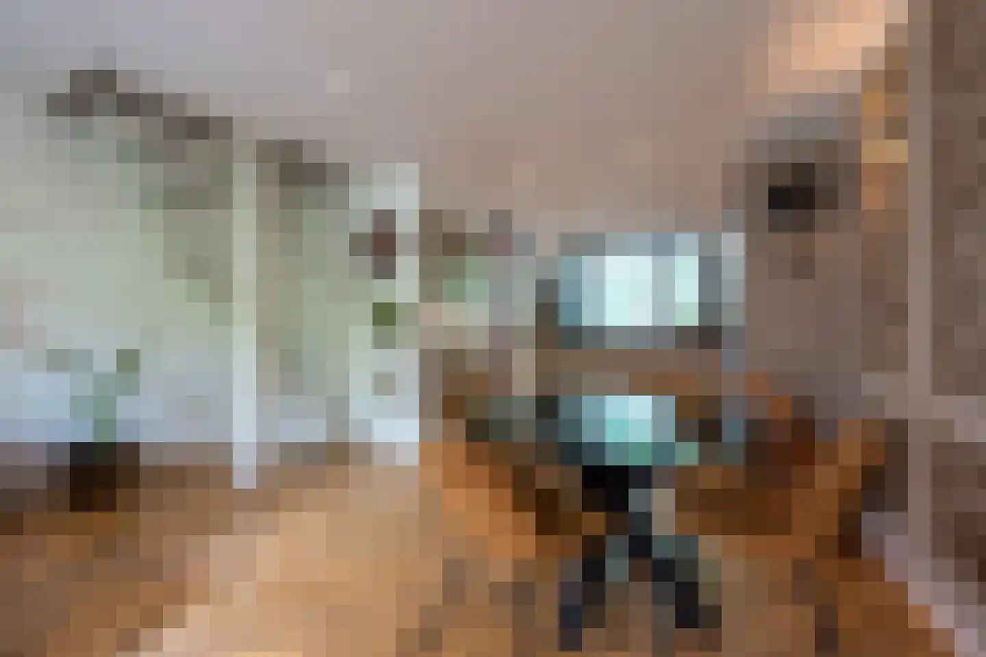De Brink 117 Zeist thumbnail 9