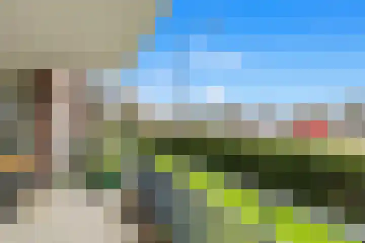 De Brink 12 Castricum thumbnail 24