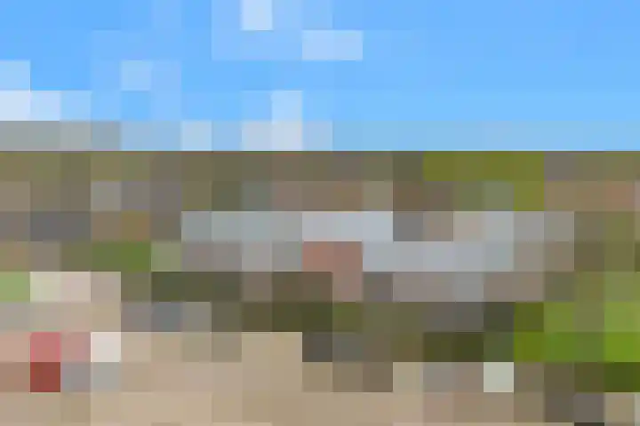 De Brink 12 Castricum thumbnail 33