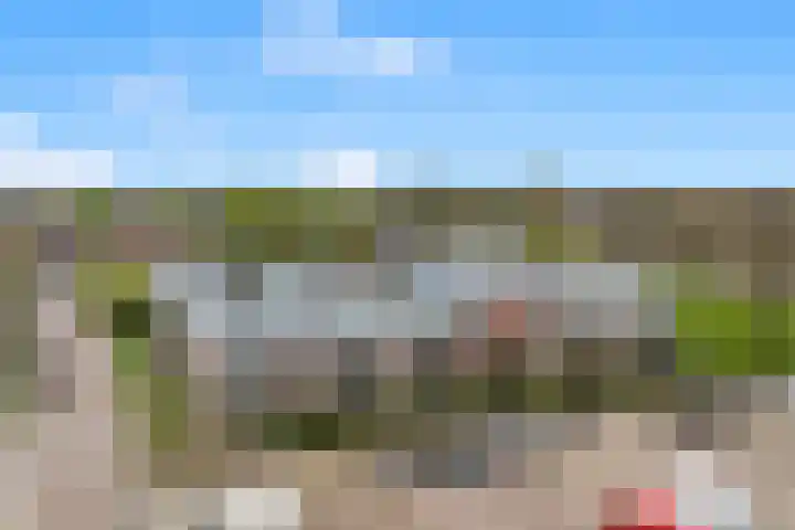 De Brink 12 Castricum thumbnail 34