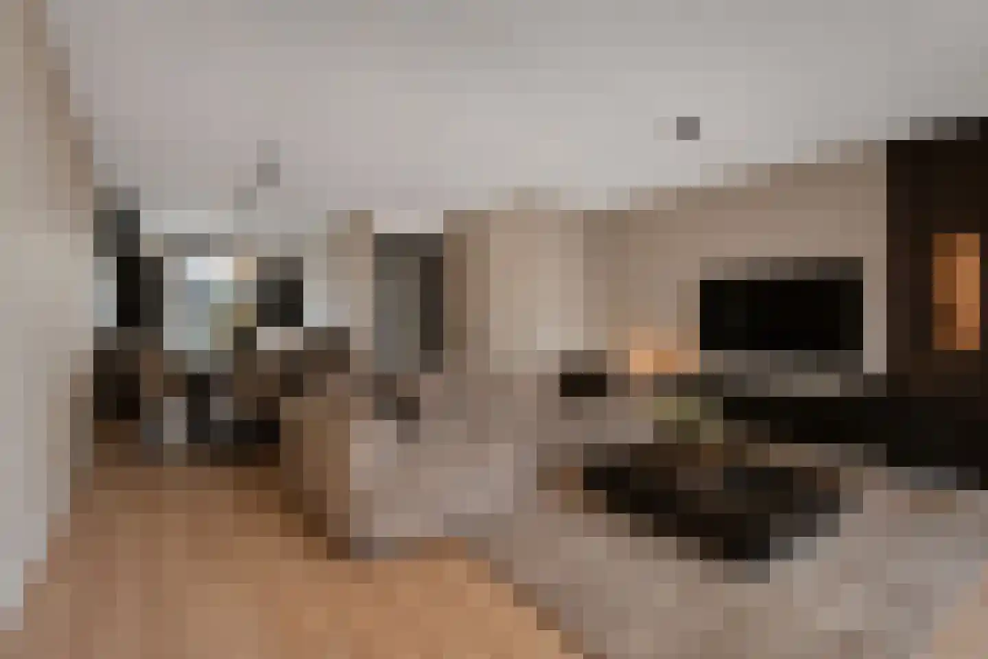 De Brink 12 Mariaparochie thumbnail 11