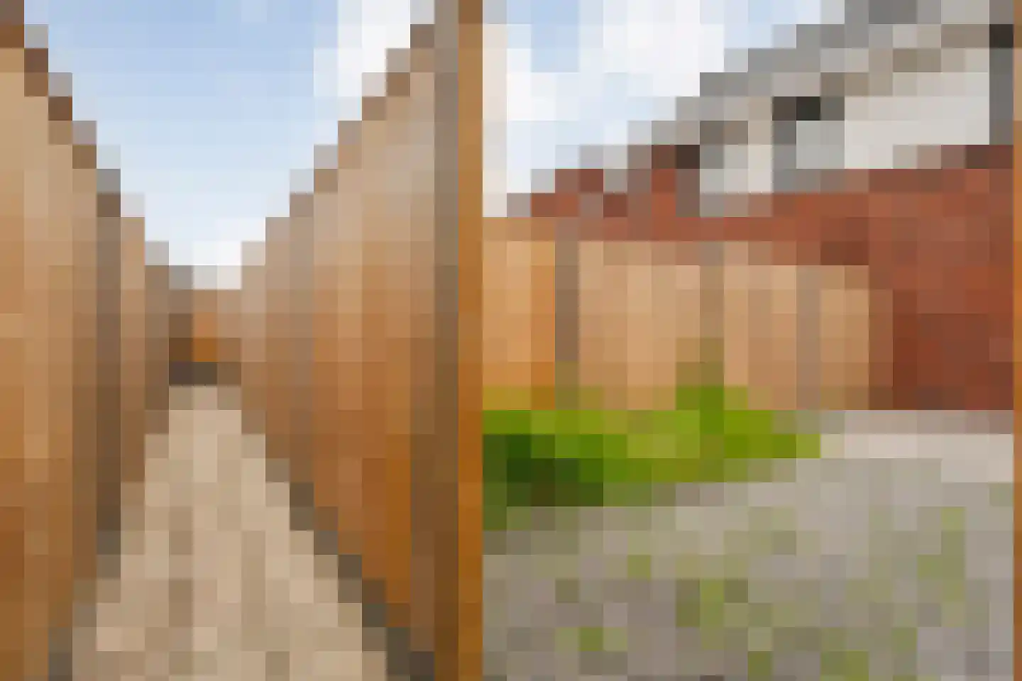 De Brink 12 Mariaparochie thumbnail 27