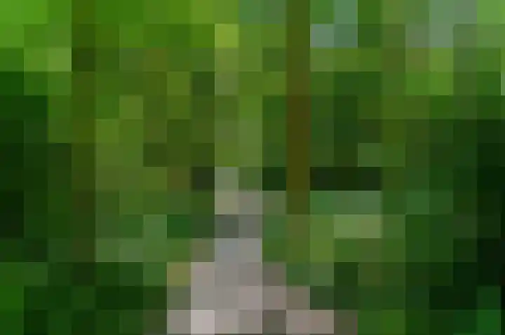 De Brink 122 Den Haag thumbnail 31