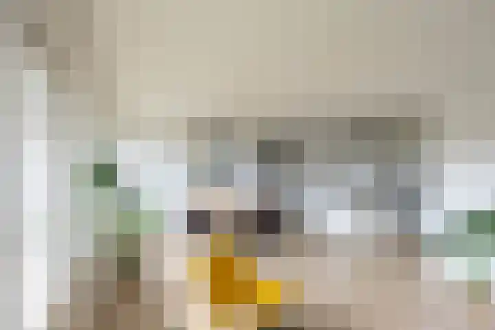 De Brink 122 Groningen thumbnail 27