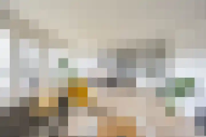 De Brink 122 Groningen thumbnail 28