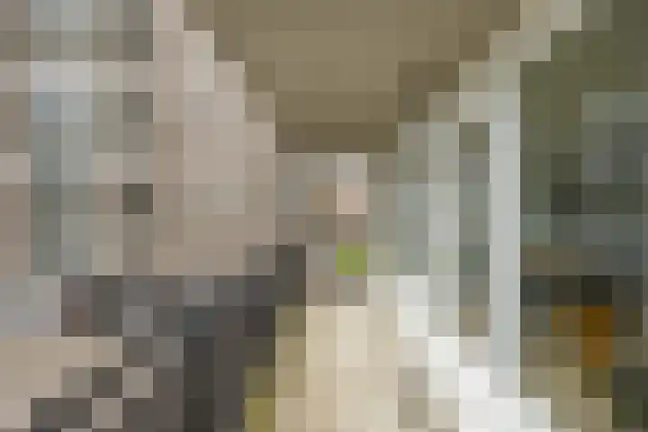 De Brink 122 Groningen thumbnail 29