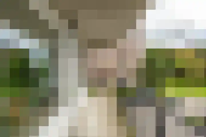 De Brink 122 Groningen thumbnail 30