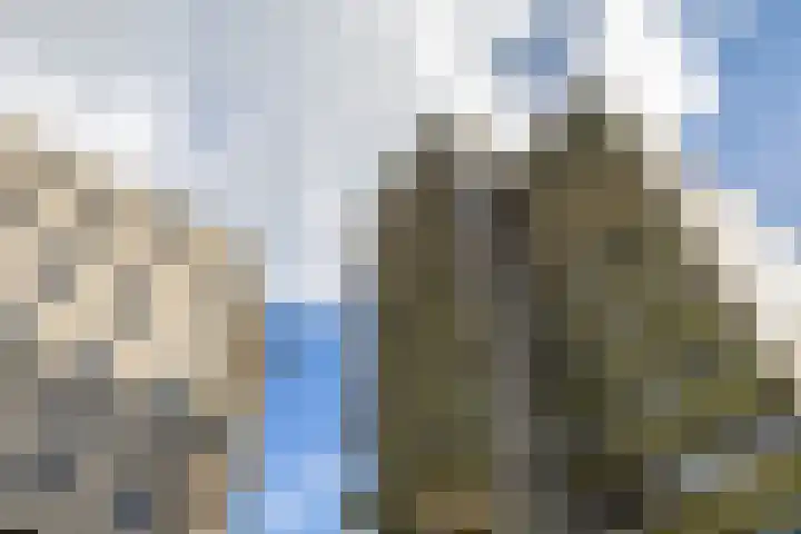 De Brink 122 Groningen thumbnail 4