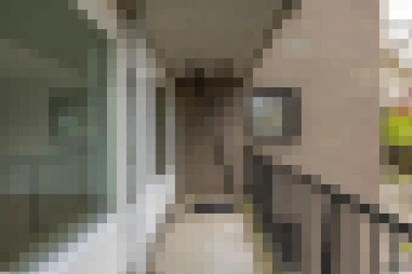 De Brink 128 Groningen thumbnail 20