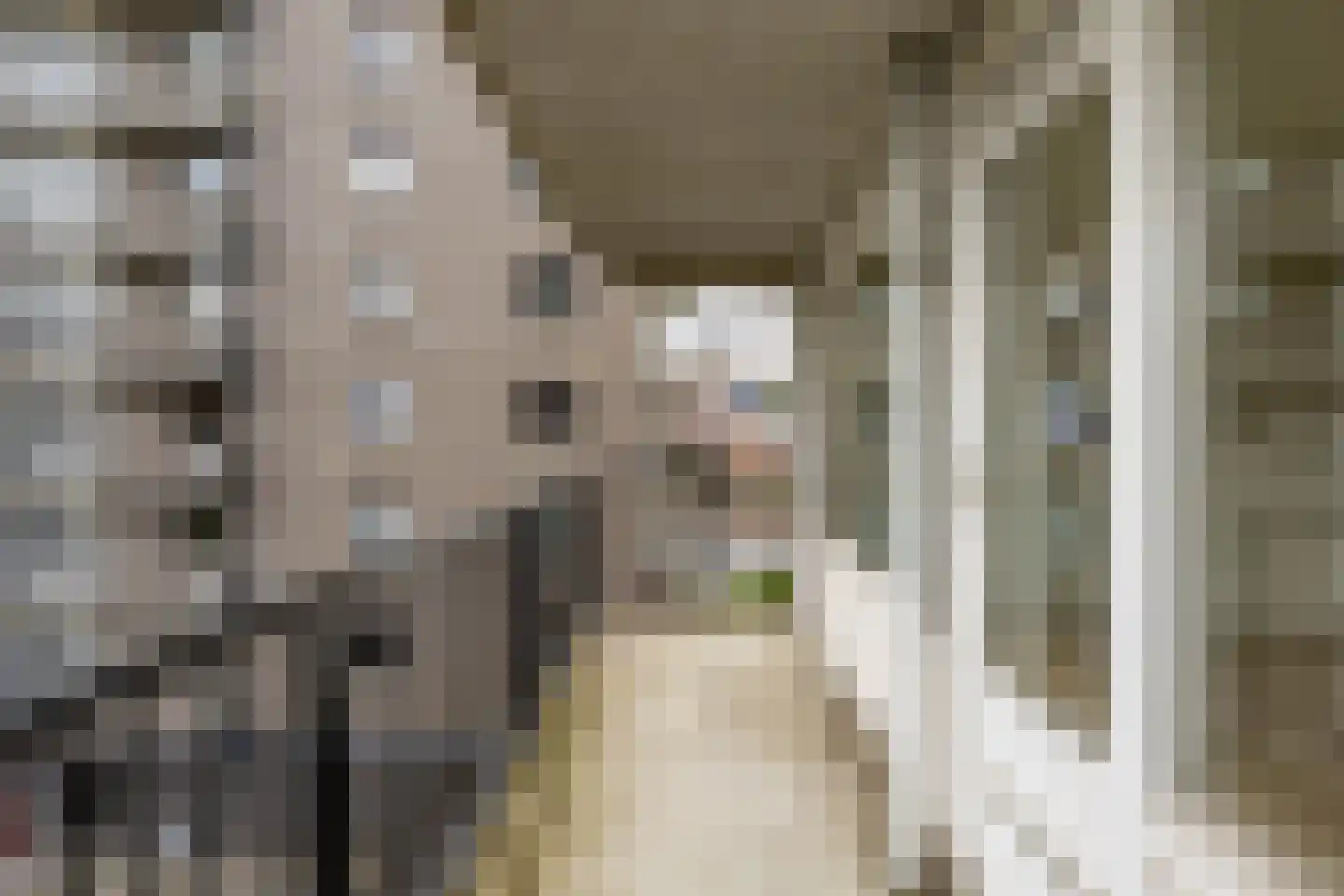 De Brink 130 Groningen thumbnail 18
