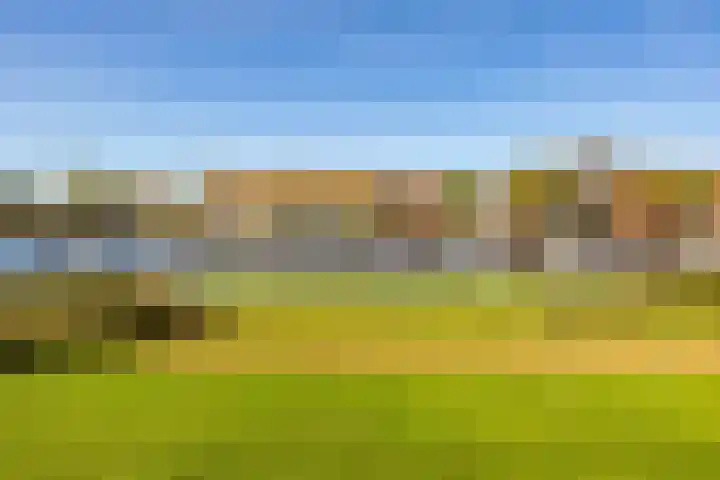 De Brink 140 Groningen thumbnail 33