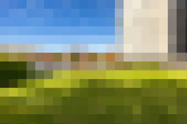 De Brink 140 Groningen thumbnail 36