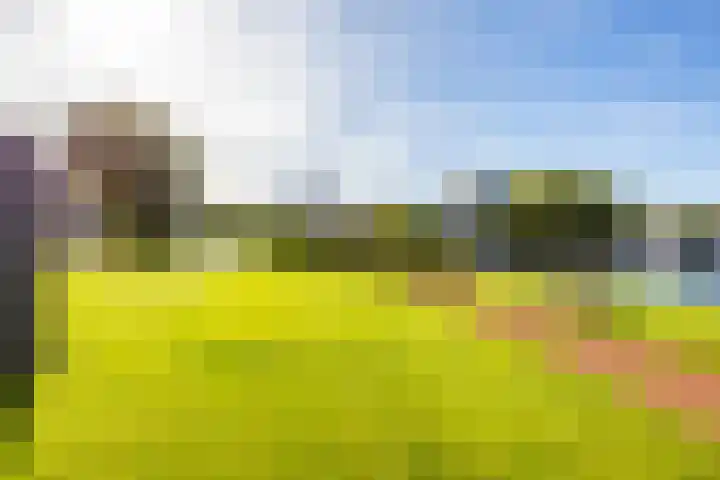 De Brink 140 Groningen thumbnail 5