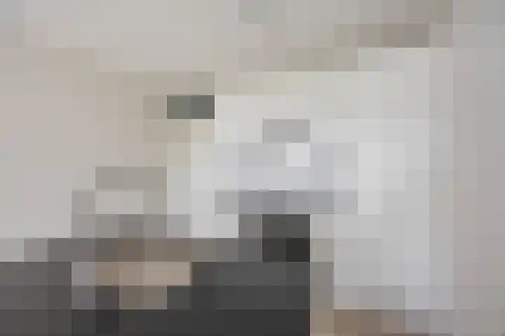 De Brink 144 Groningen thumbnail 15