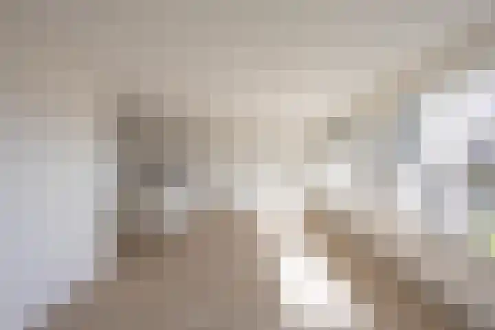 De Brink 144 Groningen thumbnail 16