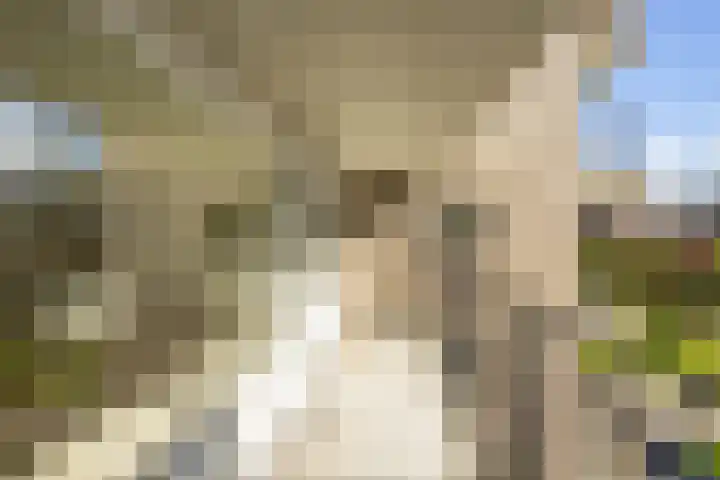 De Brink 144 Groningen thumbnail 28