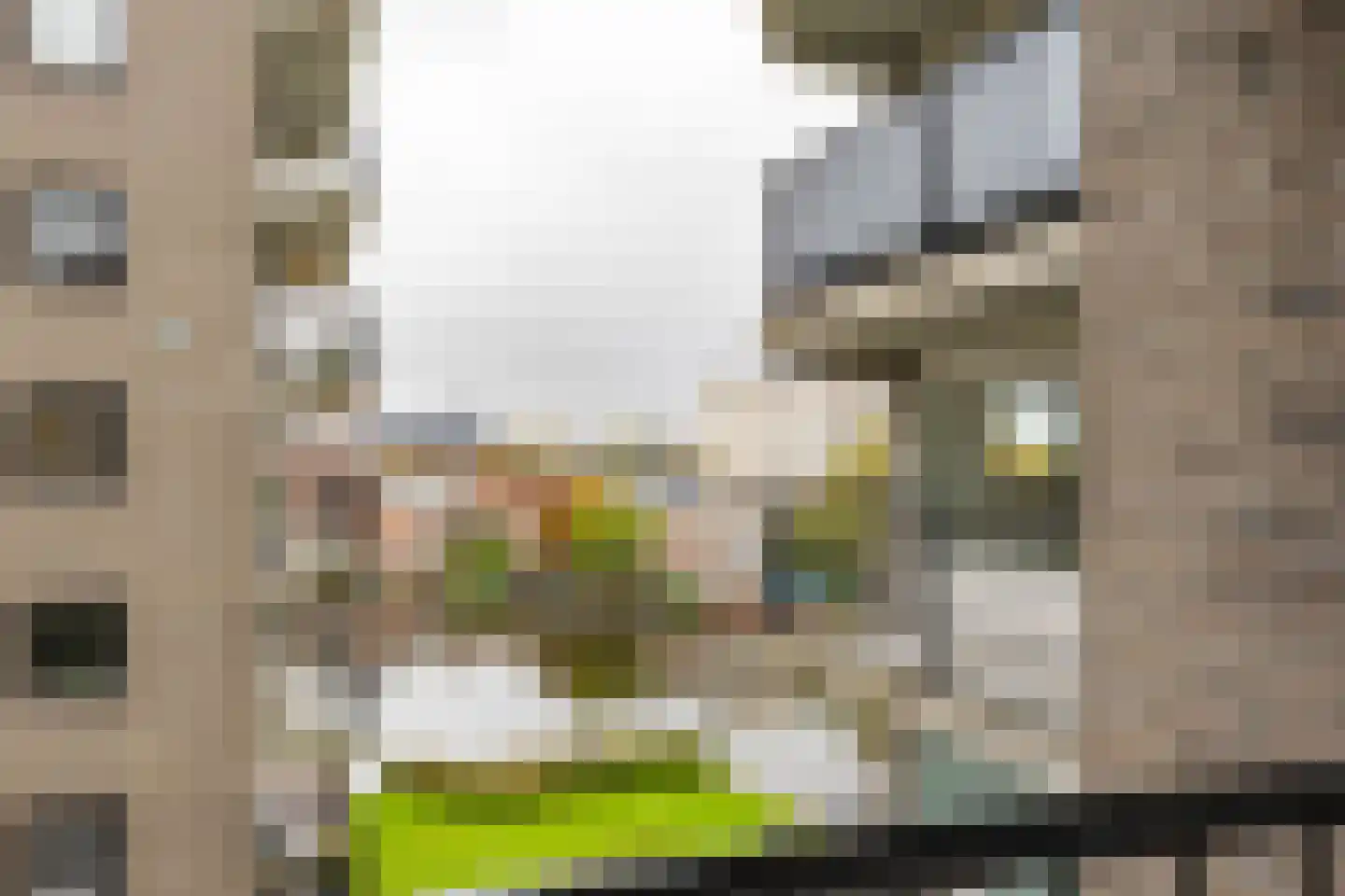 De Brink 146 Groningen thumbnail 17