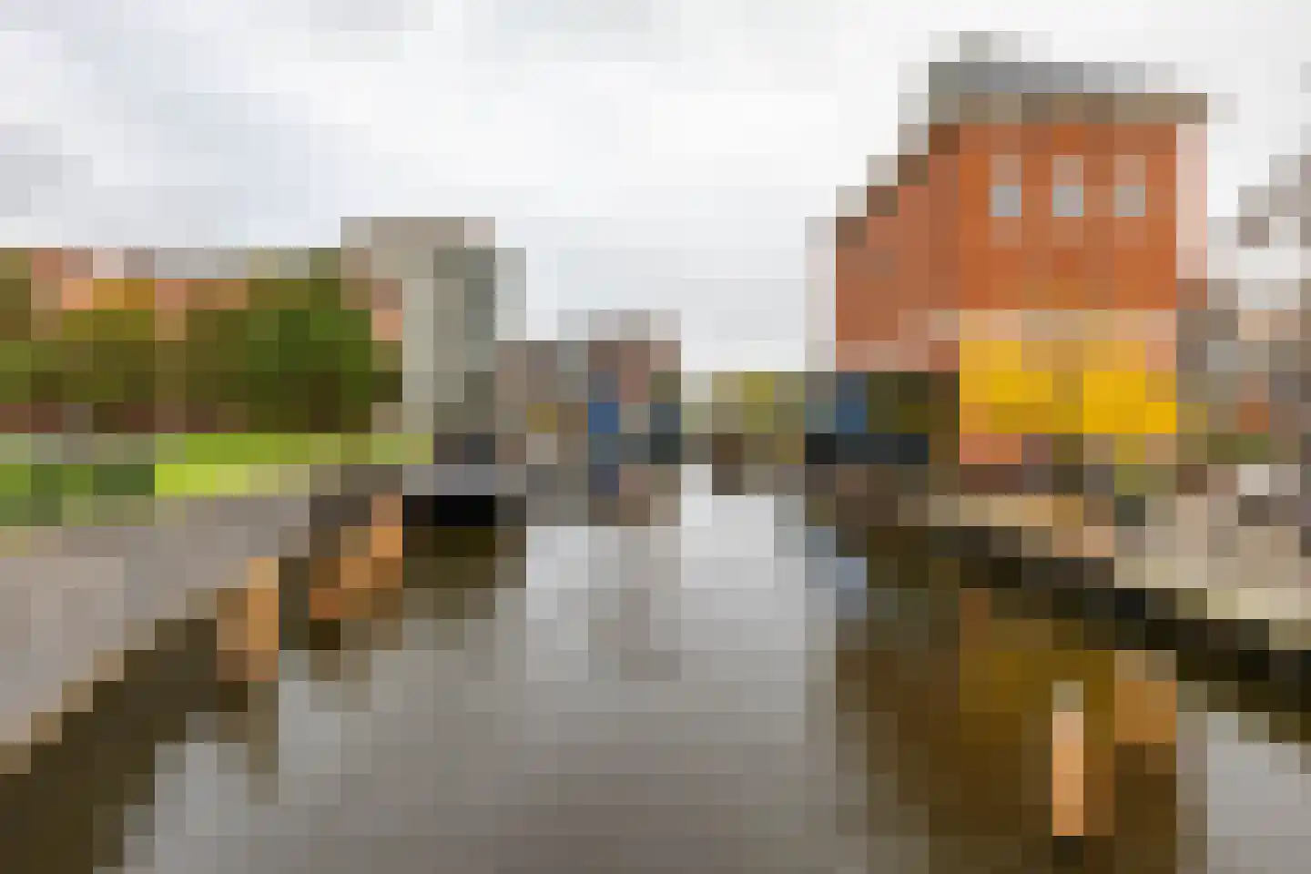 De Brink 146 Groningen thumbnail 28