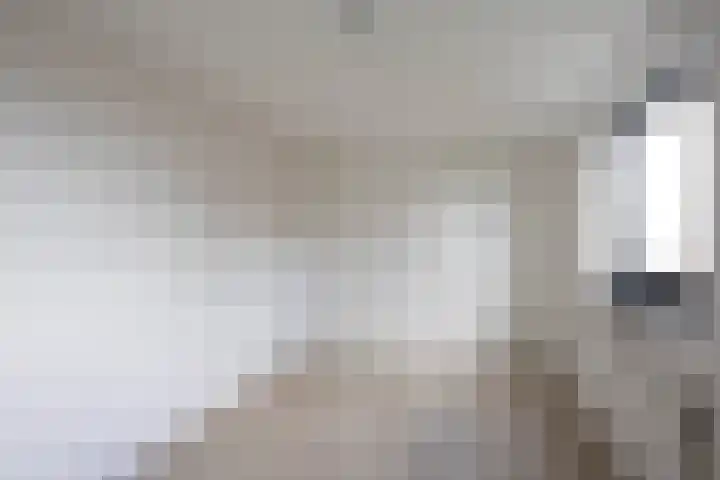 De Brink 156 Groningen thumbnail 21