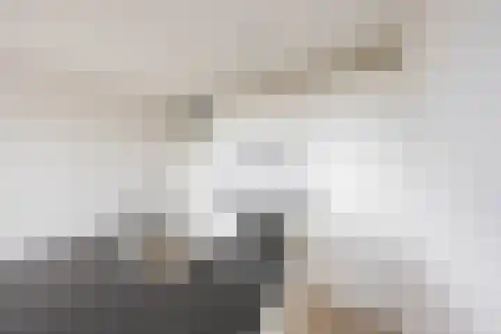 De Brink 156 Groningen thumbnail 25