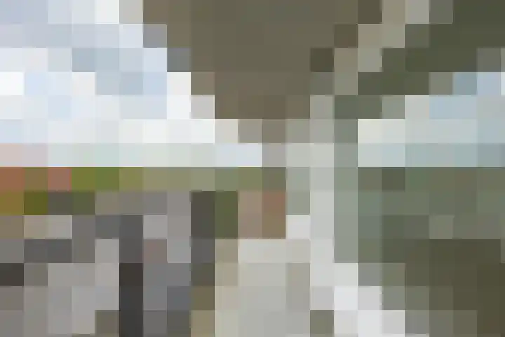 De Brink 156 Groningen thumbnail 28