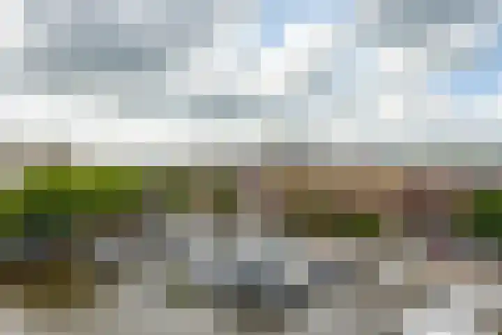 De Brink 156 Groningen thumbnail 29