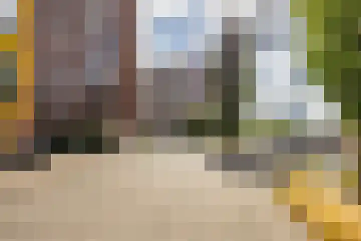 De Brink 156 Groningen thumbnail 30
