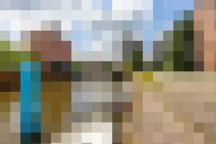 De Brink 156 Groningen thumbnail 5