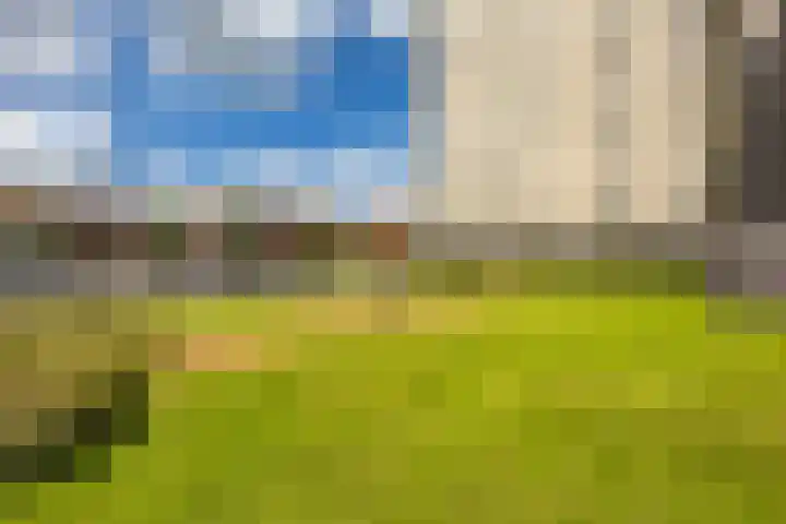 De Brink 156 Groningen thumbnail 6