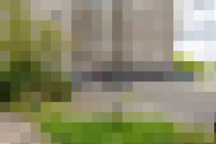 De Brink 156 Groningen thumbnail 7