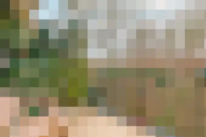 De Brink 16 Castricum thumbnail 24