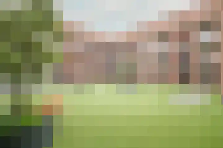 De Brink 16 Castricum thumbnail 30
