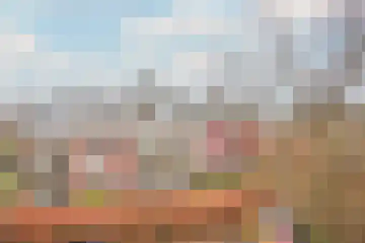 De Brink 16 Castricum thumbnail 31