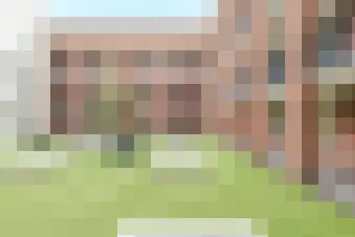 De Brink 16 Castricum thumbnail 7