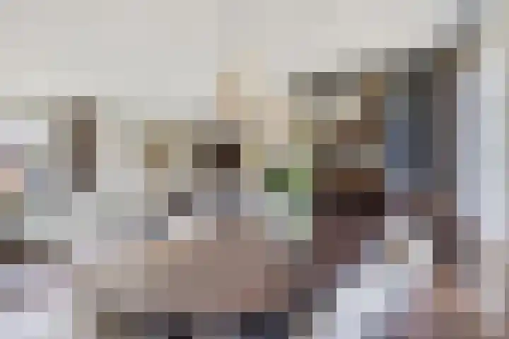 De Brink 16 Veldhoven thumbnail 12