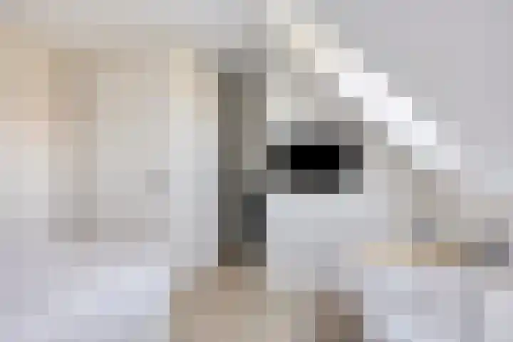 De Brink 16 Veldhoven thumbnail 27