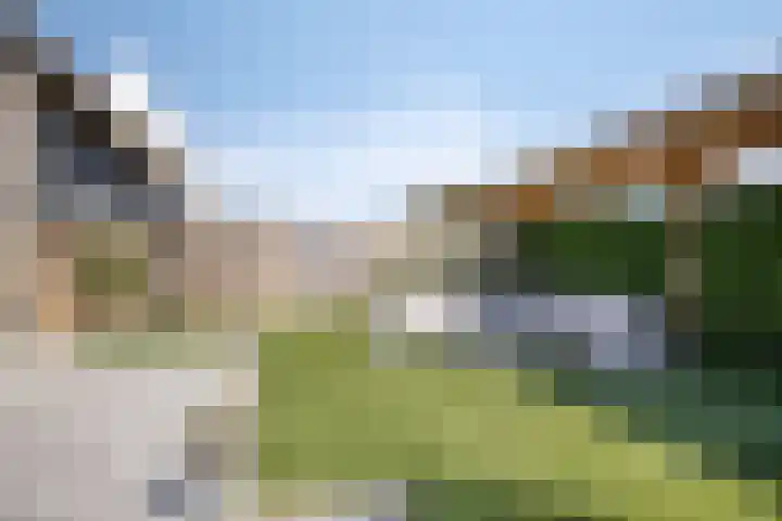 De Brink 16 Veldhoven thumbnail 36