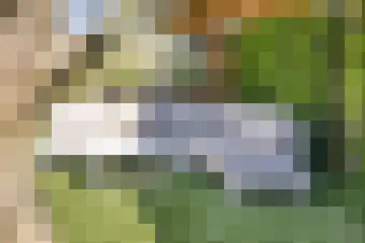 De Brink 16 Veldhoven thumbnail 37