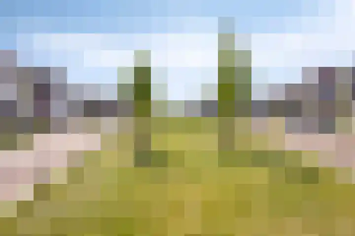 De Brink 16 Veldhoven thumbnail 45