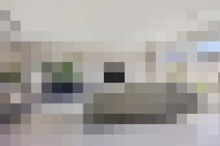 De Brink 16 Veldhoven thumbnail 8