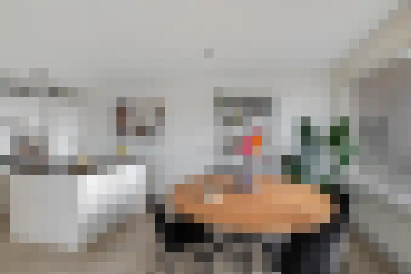 De Brink 160 Groningen thumbnail 10