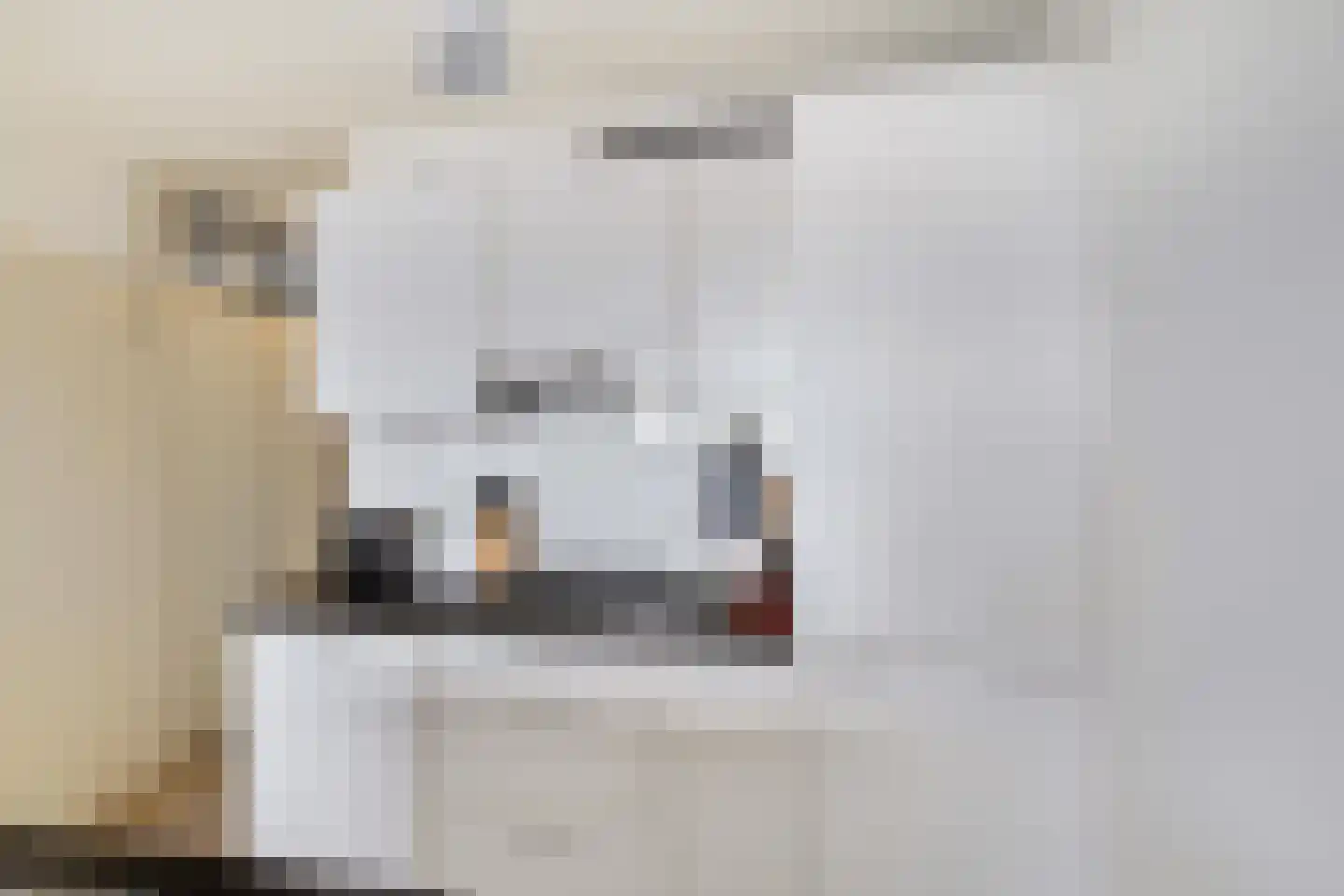 De Brink 160 Groningen thumbnail 12