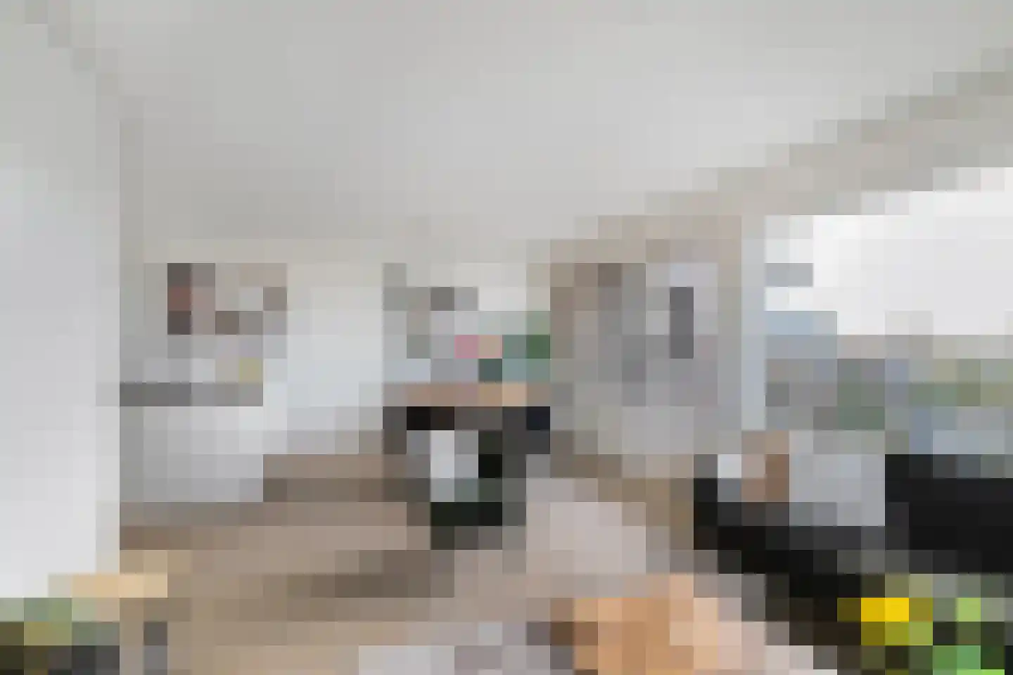 De Brink 160 Groningen thumbnail 7