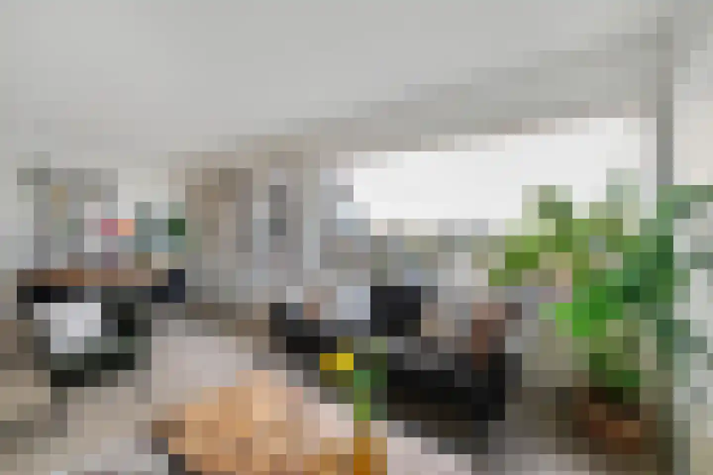 De Brink 160 Groningen thumbnail 8