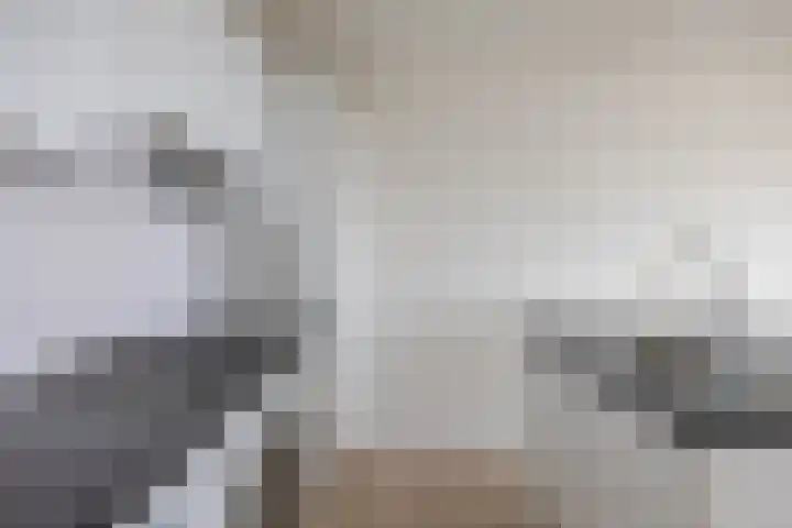 De Brink 168 Groningen thumbnail 12